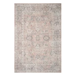 Loloi Skye Indoor Rectangular Accent Rug