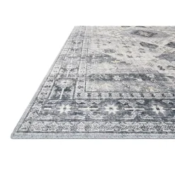 Loloi Skye Indoor Rectangular Accent Rug