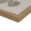 Madison Park Herbal Botany Botanical Illustration 4-pc. Framed Wall Art Sets
