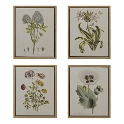 Madison Park Herbal Botany Botanical Illustration 4-pc. Framed Wall Art Sets