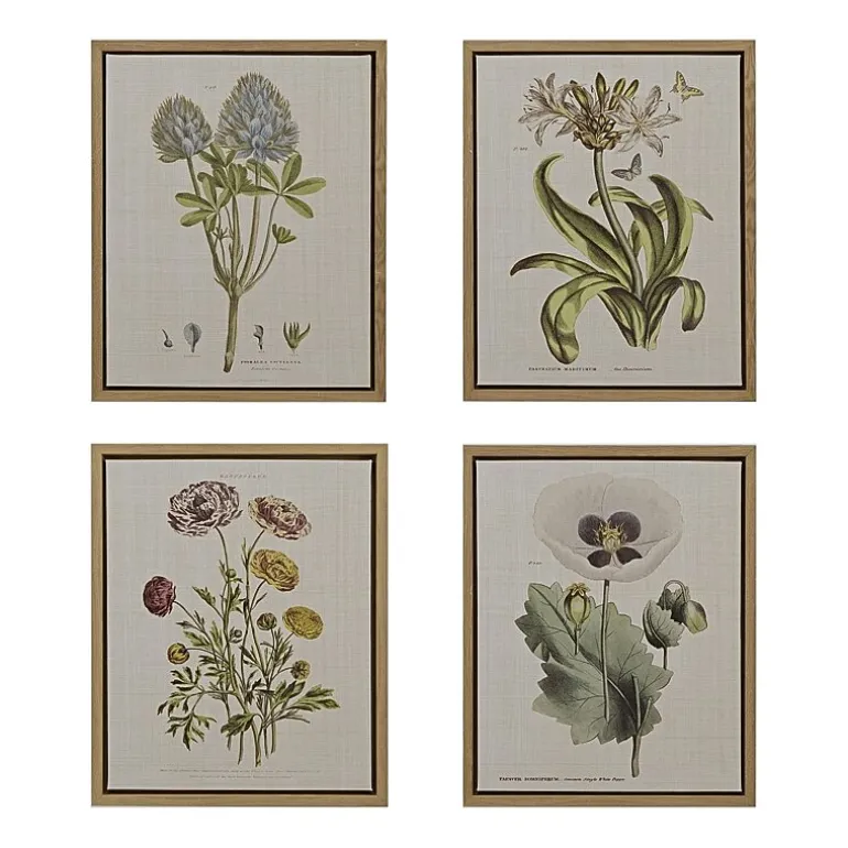 Madison Park Herbal Botany Botanical Illustration 4-pc. Framed Wall Art Sets