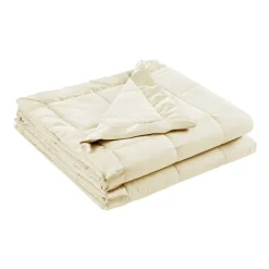Madison Park Prospect Lightweight Down Alternative Blanket with Satin Trim