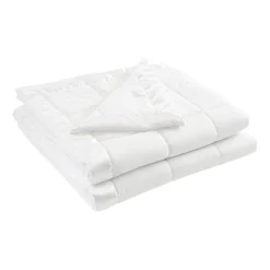 Madison Park Prospect Lightweight Down Alternative Blanket with Satin Trim
