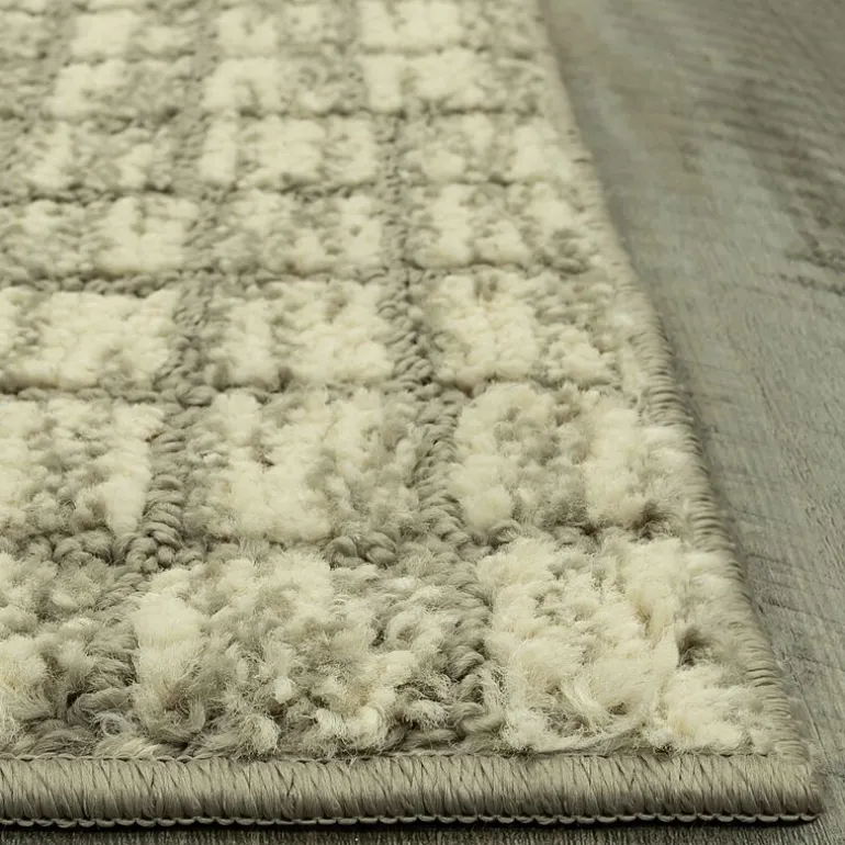 Maples Grid Indoor Rectangular Accent Rug