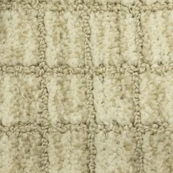 Maples Grid Indoor Rectangular Accent Rug