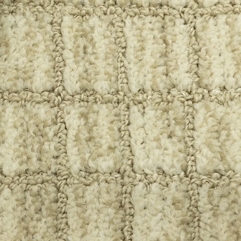 Maples Grid Indoor Rectangular Accent Rug
