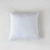 Martha Stewart Euro Pillow