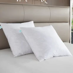 Martha Stewart Euro Pillow
