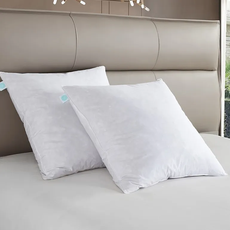 Martha Stewart Euro Pillow
