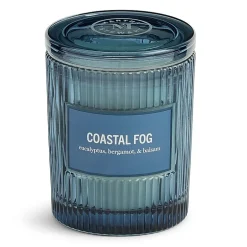 Martha Stewart 10oz Coastal Fog Single Wick Scented Jar Candle
