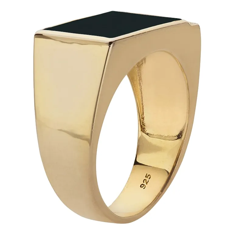 Mens Diamond Accent Genuine Black Onyx 14K Gold Over Silver Fashion Ring