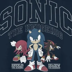 Mens Short Sleeve Sonic the Hedgehog Graphic T-Shirt
