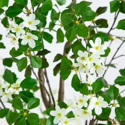 Nearly Natural 6' Dogwood With Real Touch Leaves Artificial Plant