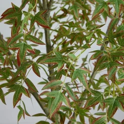 Nearly Natural 7ft Autumn Nandina Indoor Artificial Tree