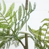 Nearly Natural 5ft. Green Minimalist Jacaranda Artificial Plant