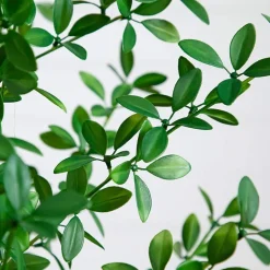 Nearly Natural 4ft Shady Lady Black Olive Indoor Artificial Tree