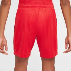 Nike Dri-Fit Trophy Big Kid Unisex Pull-On Short