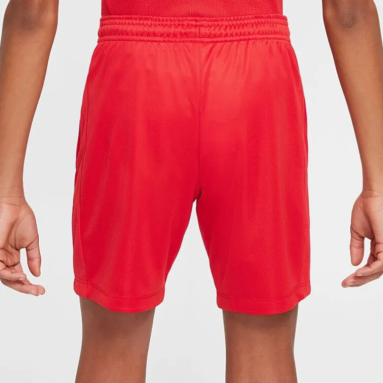 Nike Dri-Fit Trophy Big Kid Unisex Pull-On Short
