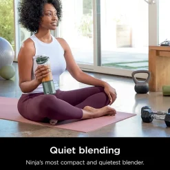 Ninja Blast Portable Blender
