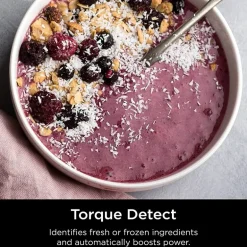 Ninja Detect Duo Power Blender Pro