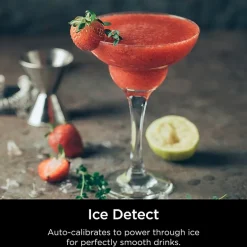 Ninja Detect Duo Power Blender Pro