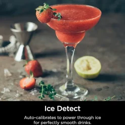 Ninja Detect Power Blender Pro