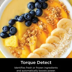 Ninja Detect Power Blender Pro