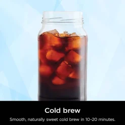 Ninja Hot & Iced Xl Drip Coffee Maker
