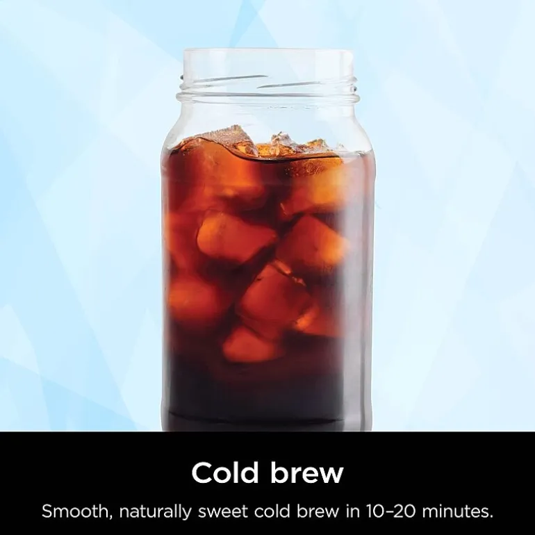 Ninja Hot & Iced Xl Drip Coffee Maker