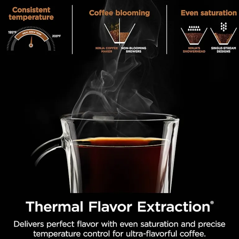 Ninja Hot & Iced Xl Drip Coffee Maker