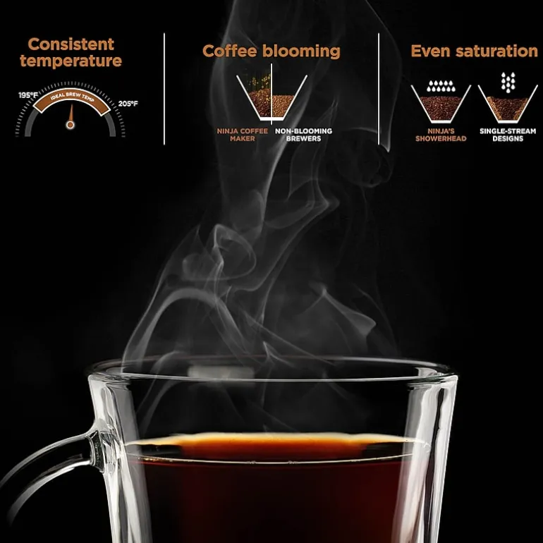 Ninja Hot & Iced Xl Drip Coffee Maker