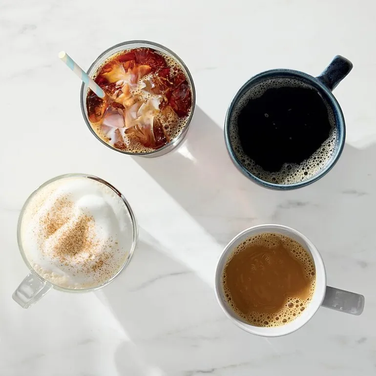 Ninja Hot & Iced Xl Drip Coffee Maker