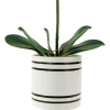 Northlight Orchids In A Ceramic Pot Artificial Plant