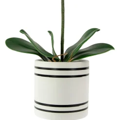 Northlight Orchids In A Ceramic Pot Artificial Plant