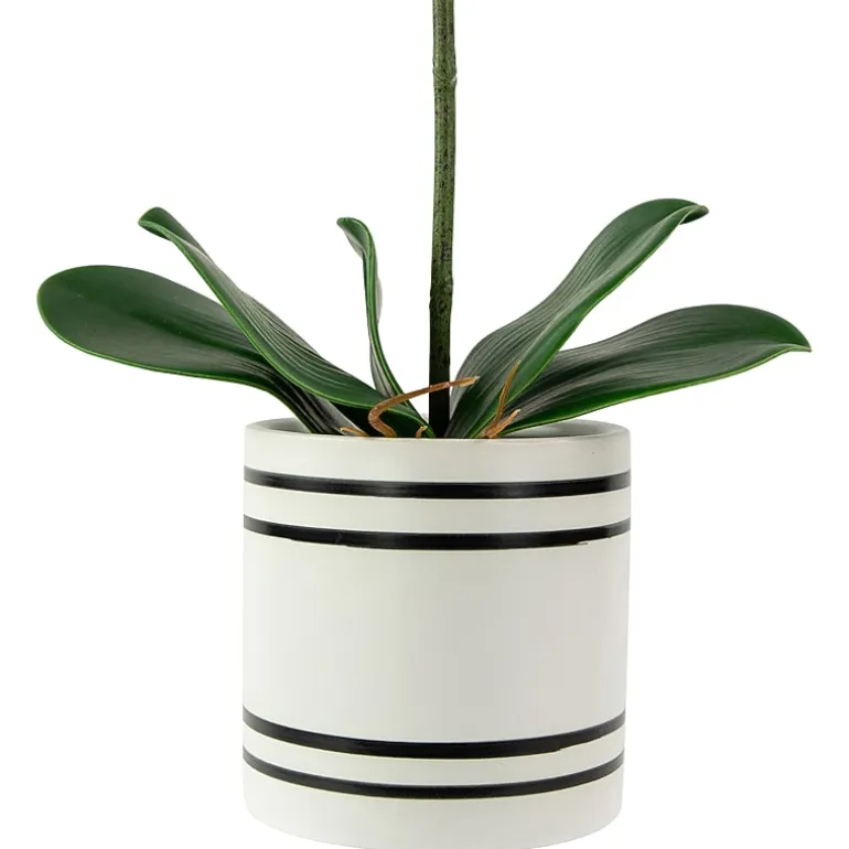 Northlight Orchids In A Ceramic Pot Artificial Plant
