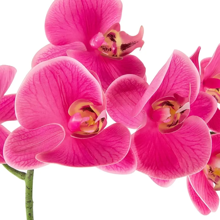 Northlight Orchids In A Ceramic Pot Artificial Plant