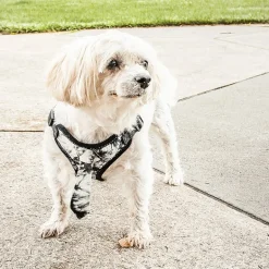 Pet Life Bonatied' Mesh Reversible And Breathable Adjustable W/ Designer Neck Tie Dog Harness