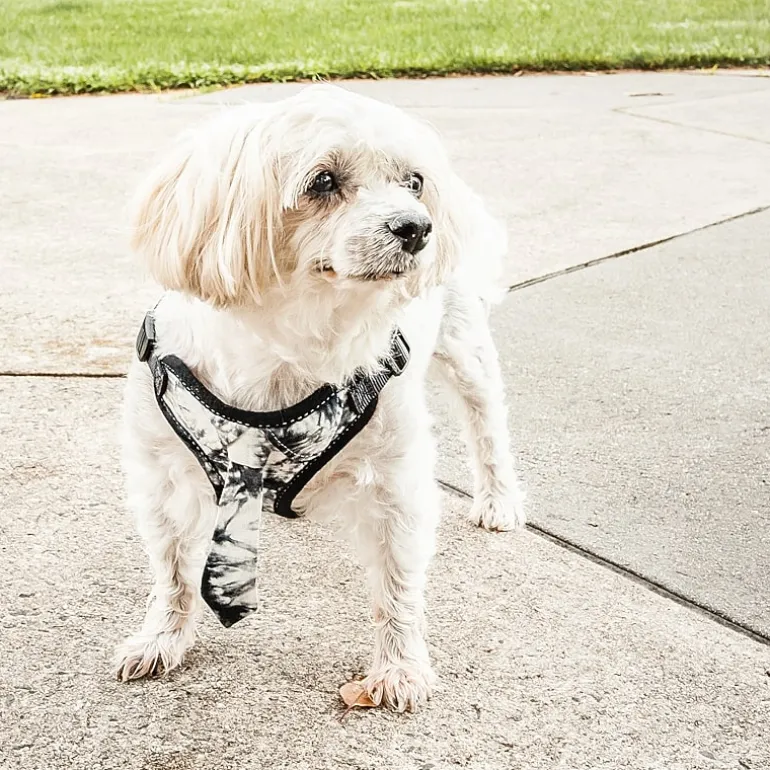 Pet Life Bonatied' Mesh Reversible And Breathable Adjustable W/ Designer Neck Tie Dog Harness