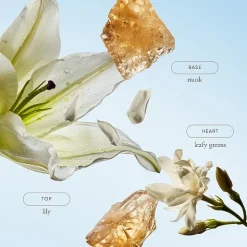 Philosophy Pure Grace Shower Gel 16floz