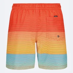 Quiksilver Big Kid Boys Striped Swim Trunks