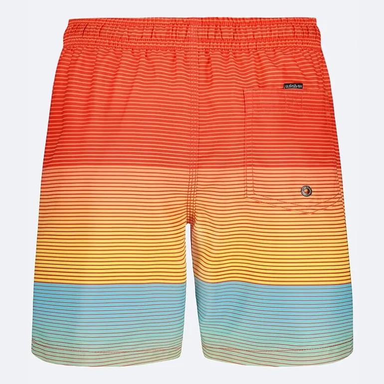 Quiksilver Big Kid Boys Striped Swim Trunks