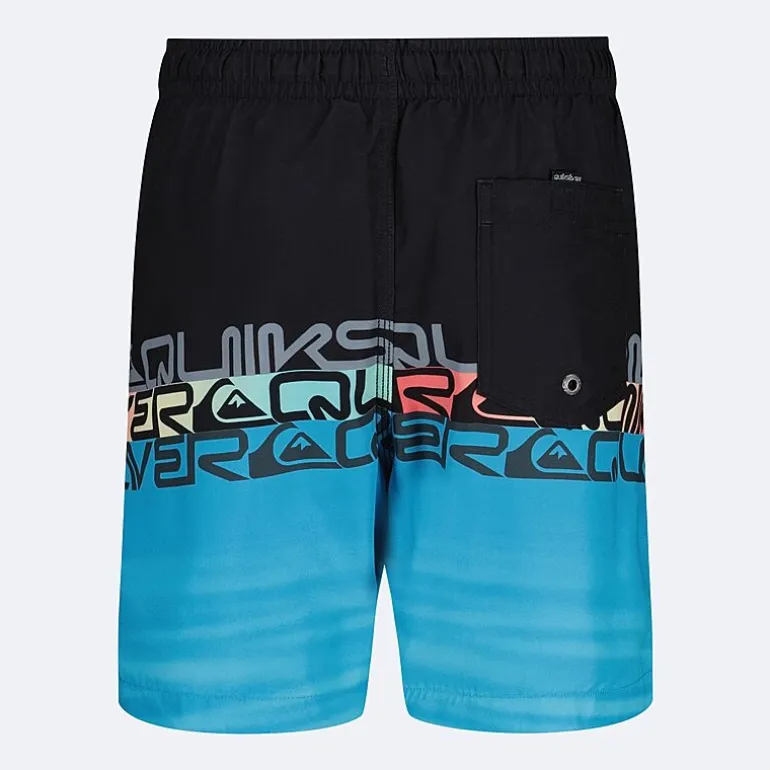 Quiksilver Big Kid Boys Swim Trunks