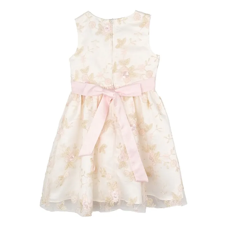 Rare Editions Toddler Girls Sleeveless A-Line Dress