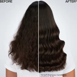 Redken All Soft Argan-6 Hair Oil 3.4 oz.