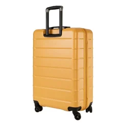 Ricardo Beverly Hills Cambria 24 Inch Hardside Checked Spinner Luggage