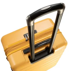 Ricardo Beverly Hills Cambria 24 Inch Hardside Checked Spinner Luggage