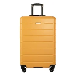 Ricardo Beverly Hills Cambria 24 Inch Hardside Checked Spinner Luggage