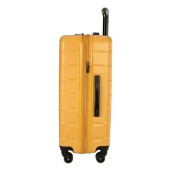 Ricardo Beverly Hills Cambria 24 Inch Hardside Checked Spinner Luggage