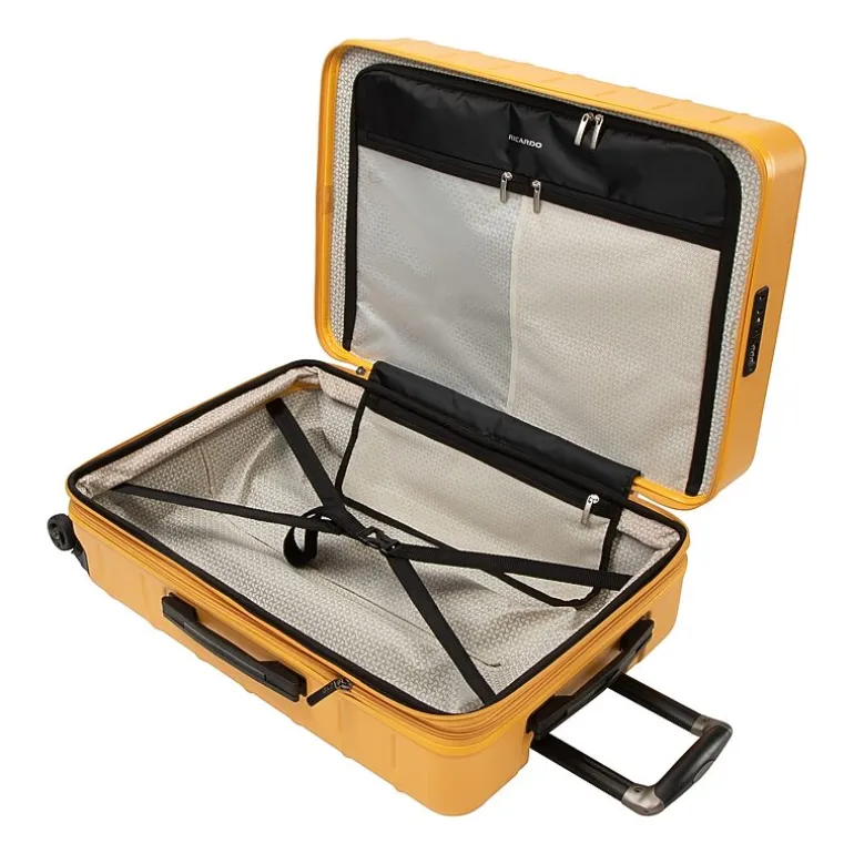 Ricardo Beverly Hills Cambria 24 Inch Hardside Checked Spinner Luggage
