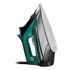 Rowenta Pro Master X-Cel Steam Iron